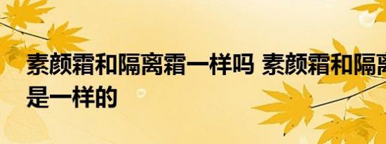 素颜霜和隔离霜一样吗 素颜霜和隔离霜是不是一样的 