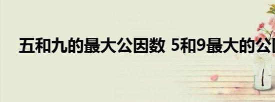 五和九的最大公因数 5和9最大的公因数 