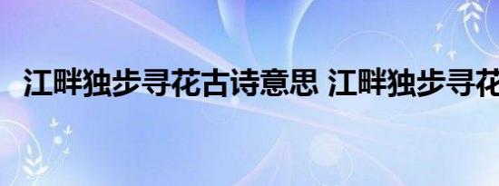 江畔独步寻花古诗意思 江畔独步寻花古诗 