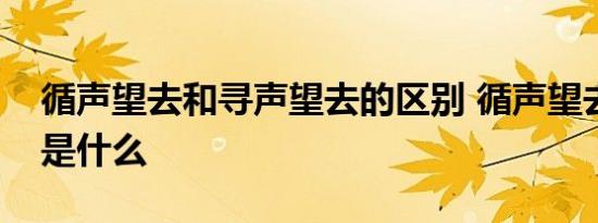 循声望去和寻声望去的区别 循声望去的意思是什么 