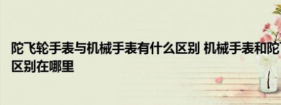 陀飞轮手表与机械手表有什么区别 机械手表和陀飞轮手表的区别在哪里 