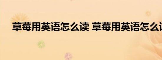 草莓用英语怎么读 草莓用英语怎么读写 