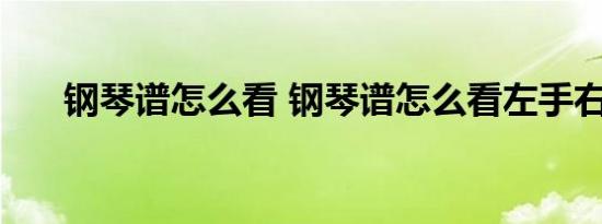 钢琴谱怎么看 钢琴谱怎么看左手右手 