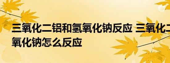 三氧化二铝和氢氧化钠反应 三氧化二铝和氢氧化钠怎么反应 