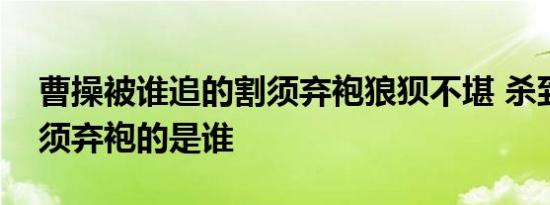 曹操被谁追的割须弃袍狼狈不堪 杀到曹操割须弃袍的是谁 