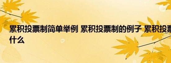 累积投票制简单举例 累积投票制的例子 累积投票制举例是什么  