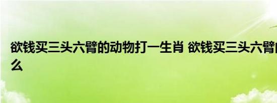 欲钱买三头六臂的动物打一生肖 欲钱买三头六臂的动物是什么 