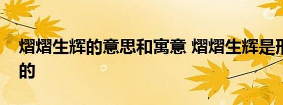 熠熠生辉的意思和寓意 熠熠生辉是形容什么的 