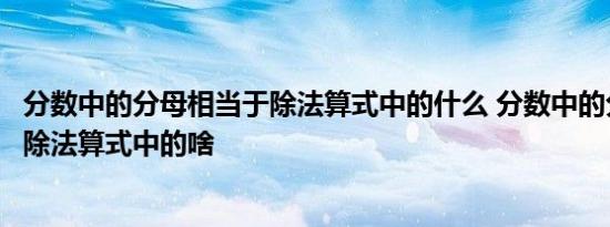 分数中的分母相当于除法算式中的什么 分数中的分母相当于除法算式中的啥 