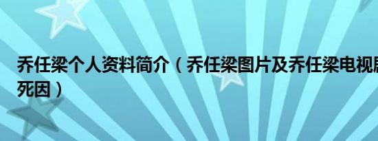 乔任梁个人资料简介（乔任梁图片及乔任梁电视剧及乔任梁死因）