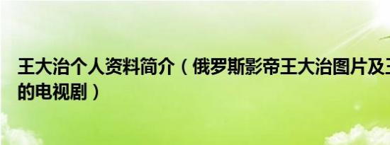 王大治个人资料简介（俄罗斯影帝王大治图片及王大治演过的电视剧）