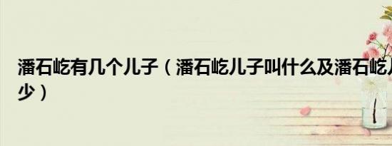 潘石屹有几个儿子（潘石屹儿子叫什么及潘石屹儿子潘让潘少）