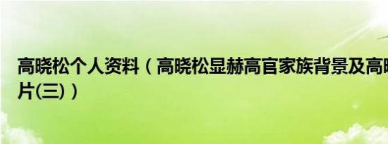 高晓松个人资料（高晓松显赫高官家族背景及高晓松老婆照片(三)）