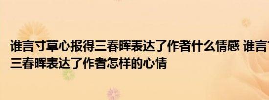 谁言寸草心报得三春晖表达了作者什么情感 谁言寸草心报得三春晖表达了作者怎样的心情 