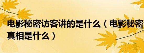 电影秘密访客讲的是什么（电影秘密访客结局真相是什么）