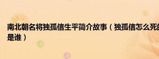 南北朝名将独孤信生平简介故事（独孤信怎么死的及独孤信是谁）