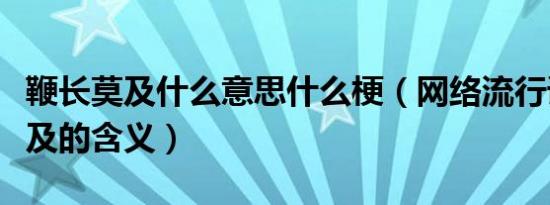 鞭长莫及什么意思什么梗（网络流行语鞭长莫及的含义）