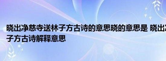 晓出净慈寺送林子方古诗的意思晓的意思是 晓出净慈寺送林子方古诗解释意思 