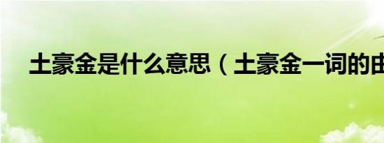 土豪金是什么意思（土豪金一词的由来）