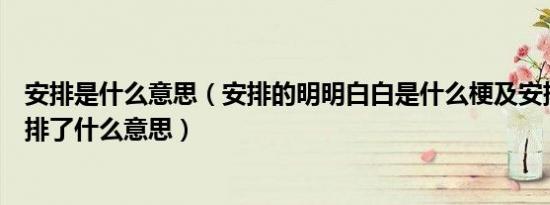 安排是什么意思（安排的明明白白是什么梗及安排一下、安排了什么意思）