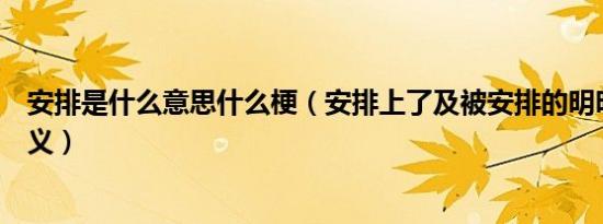 安排是什么意思什么梗（安排上了及被安排的明明白白的含义）