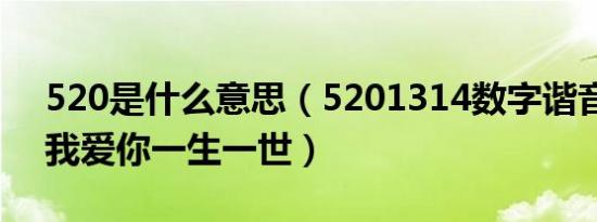 520是什么意思（5201314数字谐音意思是我爱你一生一世）