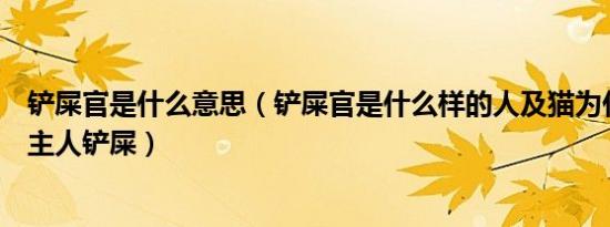 铲屎官是什么意思（铲屎官是什么样的人及猫为什么喜欢看主人铲屎）