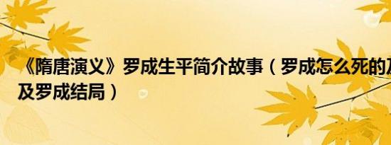 《隋唐演义》罗成生平简介故事（罗成怎么死的及罗成是谁及罗成结局）