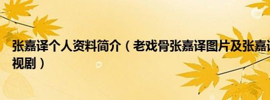 张嘉译个人资料简介（老戏骨张嘉译图片及张嘉译演过的电视剧）