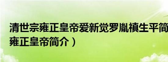 清世宗雍正皇帝爱新觉罗胤禛生平简介故事（雍正皇帝简介）