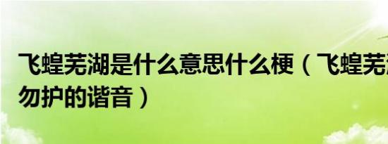 飞蝗芜湖是什么意思什么梗（飞蝗芜湖是非黄勿护的谐音）