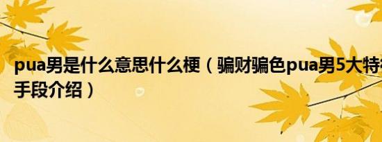 pua男是什么意思什么梗（骗财骗色pua男5大特征十大套路手段介绍）