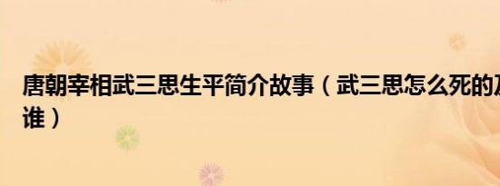 唐朝宰相武三思生平简介故事（武三思怎么死的及武三思是谁）