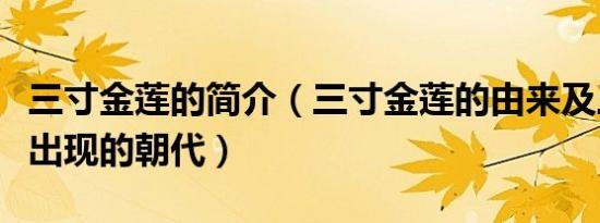 三寸金莲的简介（三寸金莲的由来及三寸金莲出现的朝代）