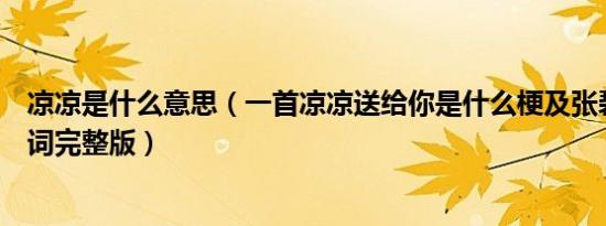 凉凉是什么意思（一首凉凉送给你是什么梗及张碧晨凉凉歌词完整版）