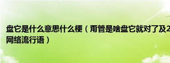 盘它是什么意思什么梗（甭管是啥盘它就对了及2019年首个网络流行语）