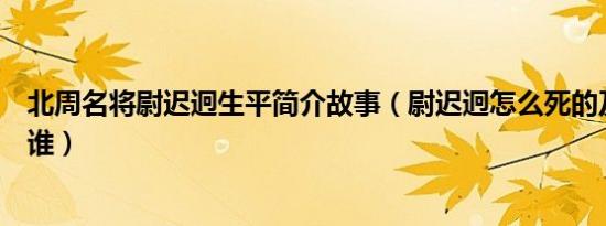 北周名将尉迟迥生平简介故事（尉迟迥怎么死的及尉迟迥是谁）