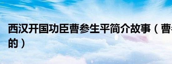 西汉开国功臣曹参生平简介故事（曹参怎么死的）