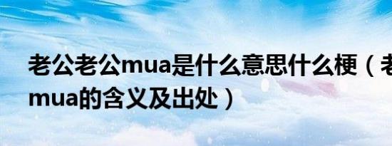 老公老公mua是什么意思什么梗（老公老公mua的含义及出处）