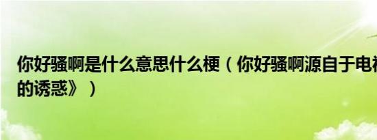 你好骚啊是什么意思什么梗（你好骚啊源自于电视剧《回家的诱惑》）