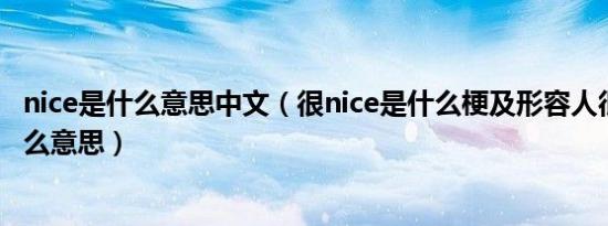 nice是什么意思中文（很nice是什么梗及形容人很Nice是什么意思）