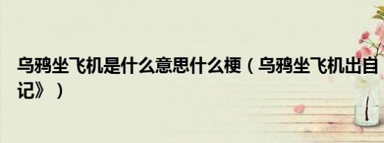 乌鸦坐飞机是什么意思什么梗（乌鸦坐飞机出自《成龙历险记》）