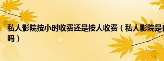 私人影院按小时收费还是按人收费（私人影院是自己选电影吗）