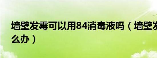 墙壁发霉可以用84消毒液吗（墙壁发霉了怎么办）