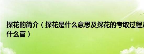 探花的简介（探花是什么意思及探花的考取过程及探花能当什么官）