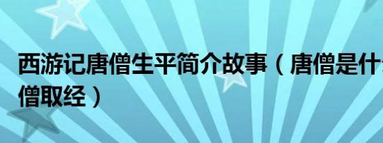 西游记唐僧生平简介故事（唐僧是什么佛及唐僧取经）