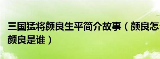 三国猛将颜良生平简介故事（颜良怎么死的及颜良是谁）