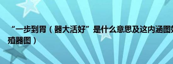 “一步到胃（器大活好”是什么意思及这内涵图好污啊及生殖器图）