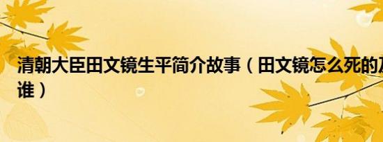 清朝大臣田文镜生平简介故事（田文镜怎么死的及田文镜是谁）