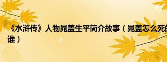 《水浒传》人物晁盖生平简介故事（晁盖怎么死的及晁盖是谁）